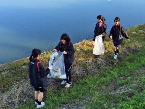 倉敷川土手の清掃③